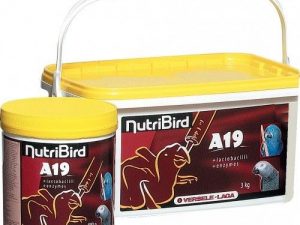 Nessuna immagine impostata