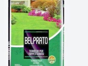 Nessuna immagine impostata