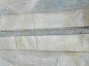 Nessuna immagine impostata