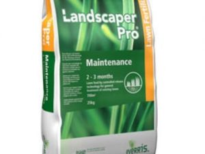 Nessuna immagine impostata