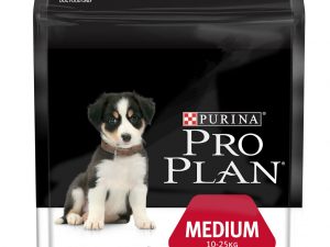 Nessuna immagine impostata