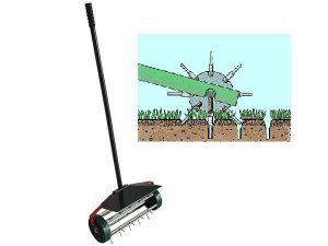 Nessuna immagine impostata