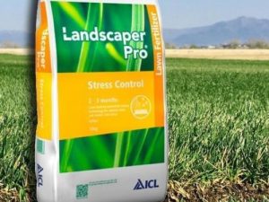 Nessuna immagine impostata